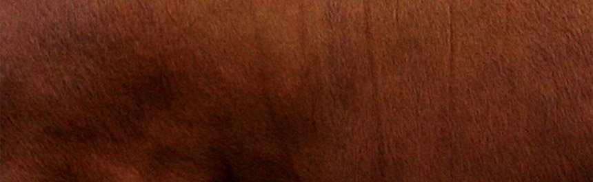texture-img